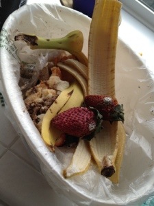 Still Life With Garbage