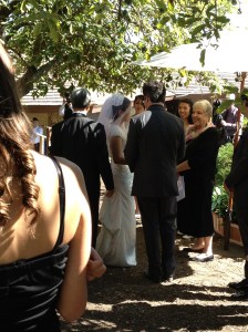 Wedding in the Grove