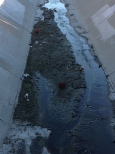 Another basketball in the storm channel